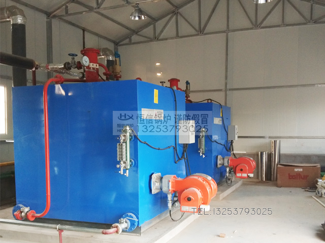 FTSG燃油气蒸汽发生器安装用于洗涤行业